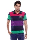 Tiger of Goa Purple-Navy Polo T Shirt