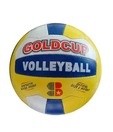 Kaizen Gold Cup Volley ball