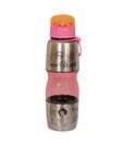 Disney Princess Sipper Bottle