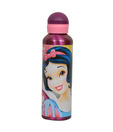 Disney Princess Sipper Bottle
