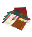 Solo Separator/Divider (pack of 5)