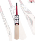 SS Gladiator English Willow Cricket Bat