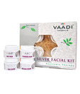 Vaadi Silver Facial Kit - Pure Silver Dust, Rosemary & lavender Oil, Sandalwood Paste70ml