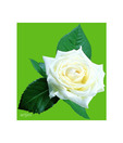 Artjini Rose Flower Close-up Painting