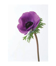 Artjini Purple Poppy Painting