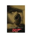 James Bond(There Is No Substitute) (24 x 36 Inches)