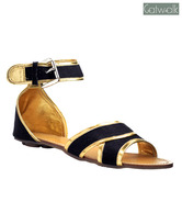Catwalk Black & Golden Flat Gladiators