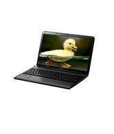 Sony VAIO SVE-15138 Laptop (Intel Core i7 3632QM- 1TB HDD- 4GB RAM- 15.5 Inch- Win8- 2GB Graph) (Black)