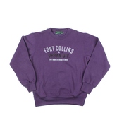 Fort Collins Purple Boys' Tracksuit For Kids