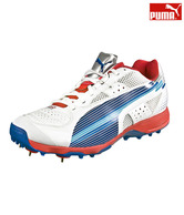 Puma Evo Speed Cricket Spike Shoes