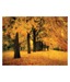 Gold of Autumn East by M. Ellen Cocose ( 13 x 17 Inches)