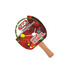GKI Nano Force TableTennis Racket
