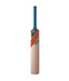 Slazenger V-360 All Star Kashmir Willow Cricket Bat