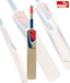 Puma Pulse Gt Kashmir Willow Cricket Bat (Size 7)