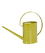 Live n Style Cool Green Iron Water Can