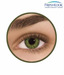 Freshlook one Day (10 Lenses Pack) Green