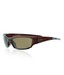 Numero Uno Stunning Brown Sunglasses