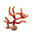 Frank Balancing Coral