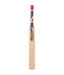 BDM Practice Bat Kashmir Willow  Cricket Bat