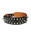 Dogstory Black Studded Collar