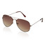 Pittsburgh Polo Club Brown Lens Sunglasses