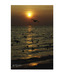 Artjini Sunset III Painting