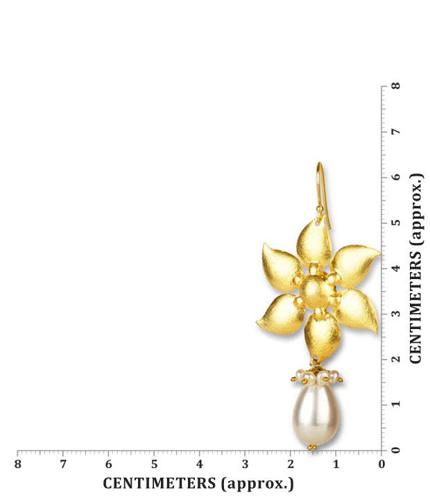 Silver Centrre Dazzling Earrings
