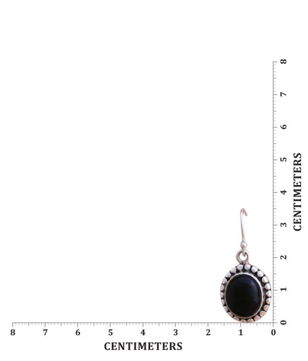 Designer Silver Black Onyx Adorned Silver Earrings