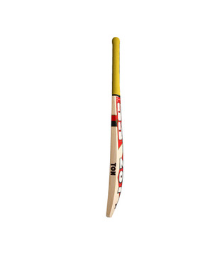 SS 281 No 6 Kashmir Willow Cricket Bat