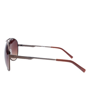 Color Line Shimmering Brown Aviator