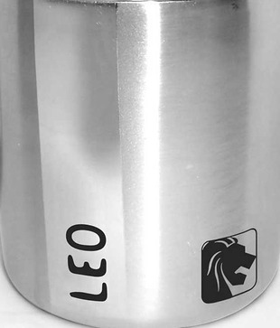 HotMuggs Leo Double Walled Stainless Steel Mug