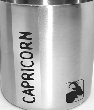 HotMuggs Capricorn Double Walled Stainless Steel Mug