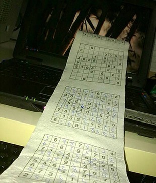 Sudoku Toilet Roll