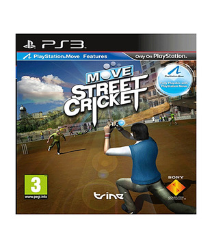 Move Street Cricket