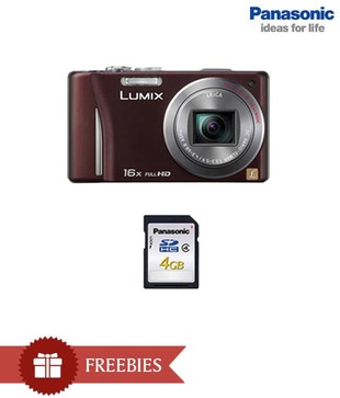 Panasonic Lumix DMC TZ20 14.1 MP Point & Shoot Digital Camera (Brown)