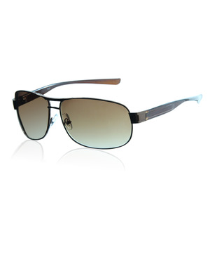 Shark Charming Brown Lens Aviator Sunglasses