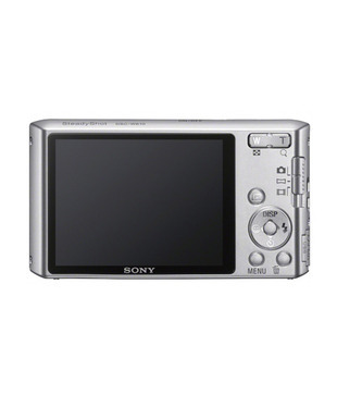 Sony CyberShot W610 14.1 MP Point & Shoot Digital Camera (Silver)