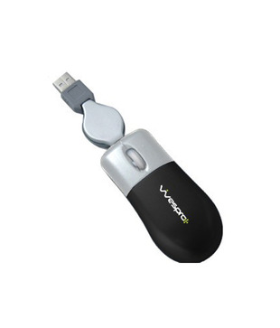 Wespro 10 Inch Mini Laptop (WIFI Connectivity)