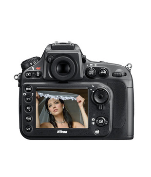 Nikon D800 36.3MP SLR (Body Only) (Black)